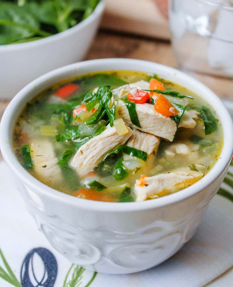 CHICKEN VEGETABLE SOUP